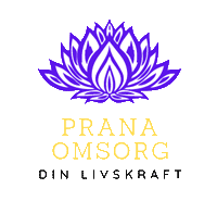 Prana Omsorg AB